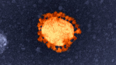 Stacks Image 18